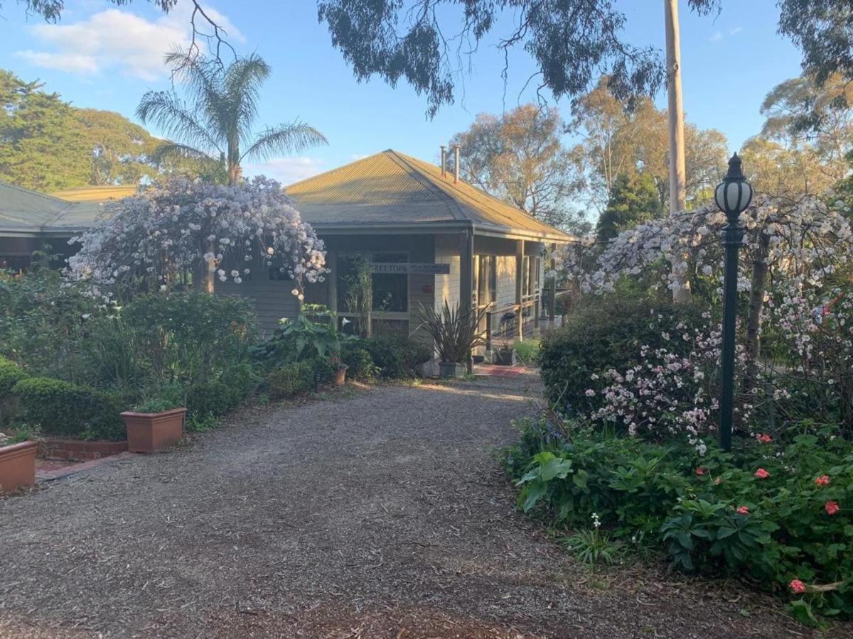 Treetops Bed & Breakfast Blackburn Exterior photo
